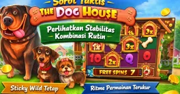 the dog house stabilitas kombinasi rutin